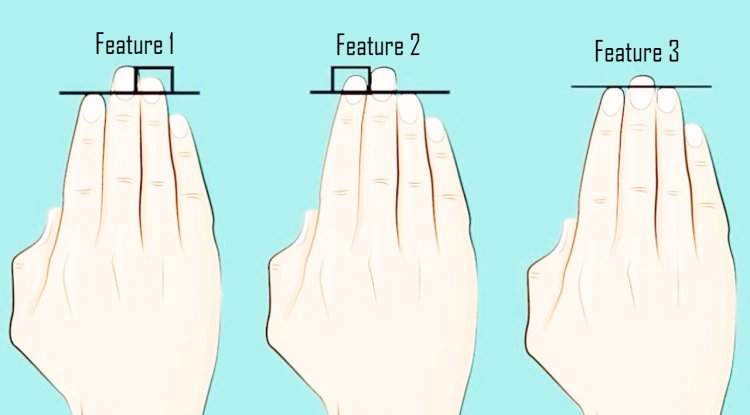 Know your personality by the shape of your fingers - Times Drop